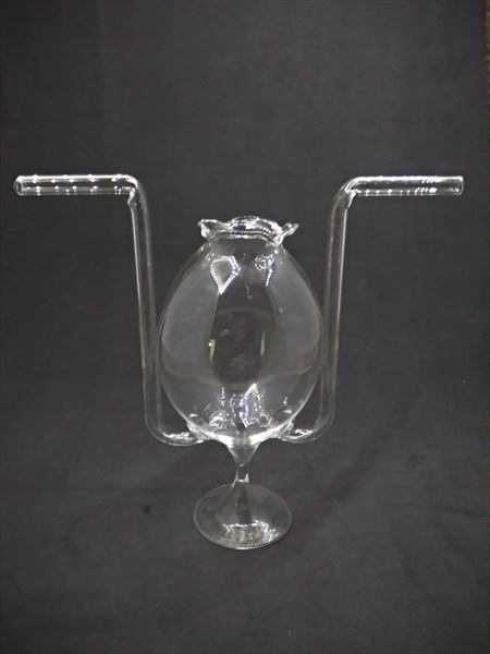 Copa de cristal soplado 300 ml con 2 pajitas (3)